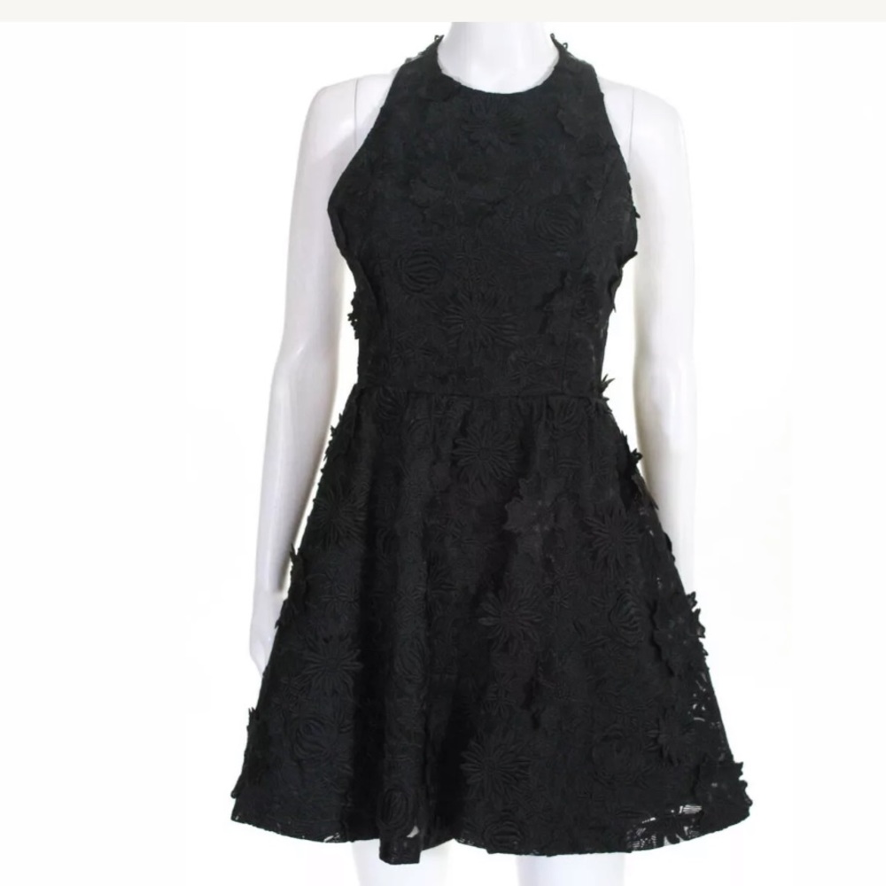 Alice & Olivia Floral Appliqué Skater Dress